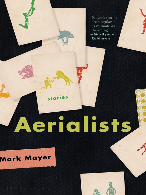 Cover image for Aerialists